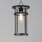Maxim Lighting Clyde VX 1-Light Outdoor VX Hanging Pendant 40629CLBK - alternate 3